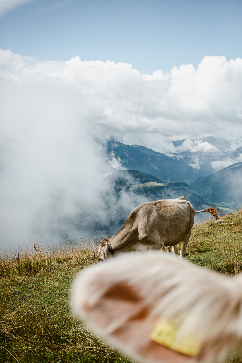Wandertour Im Bregenzerwald