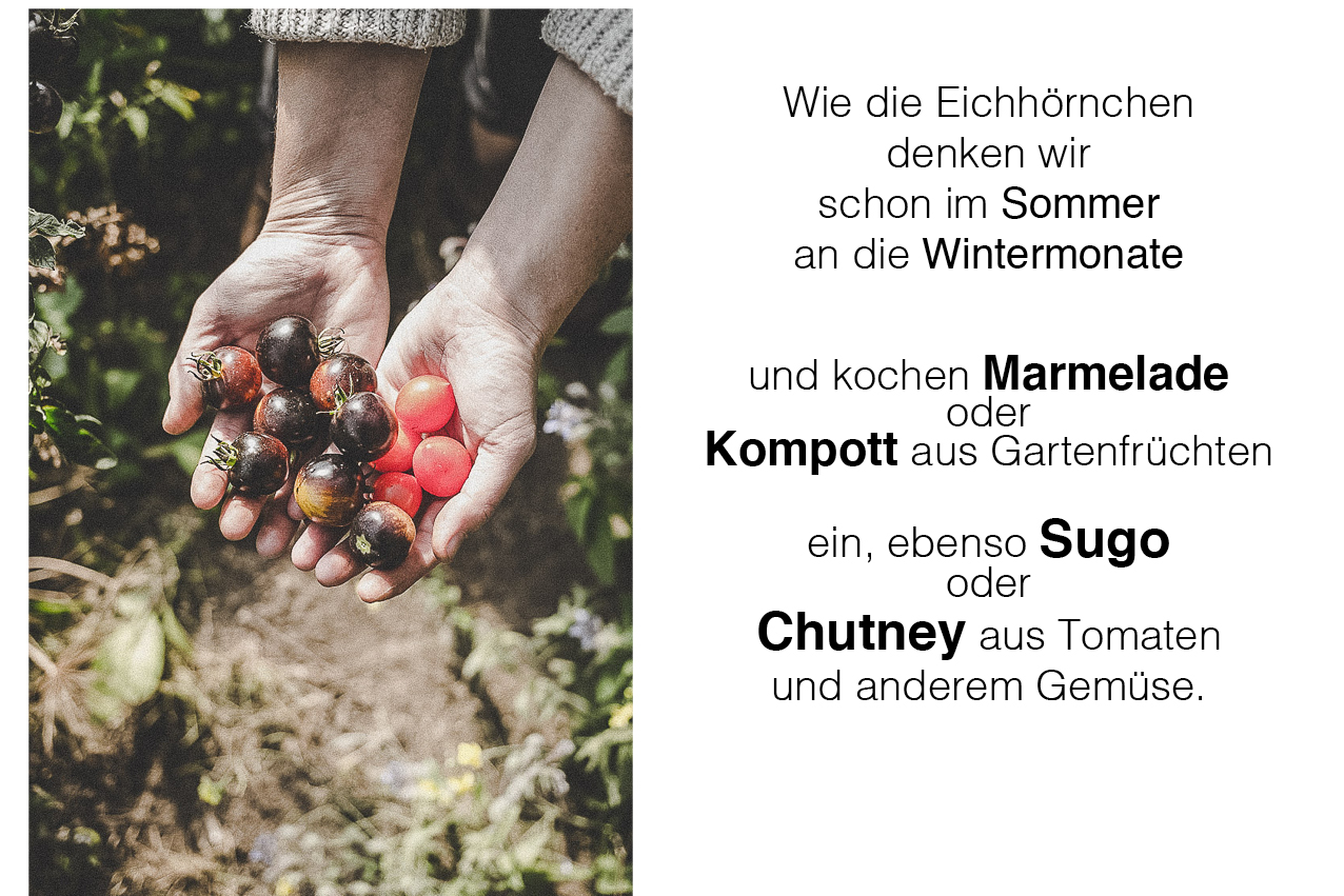 Farmmade_eichhörnchen