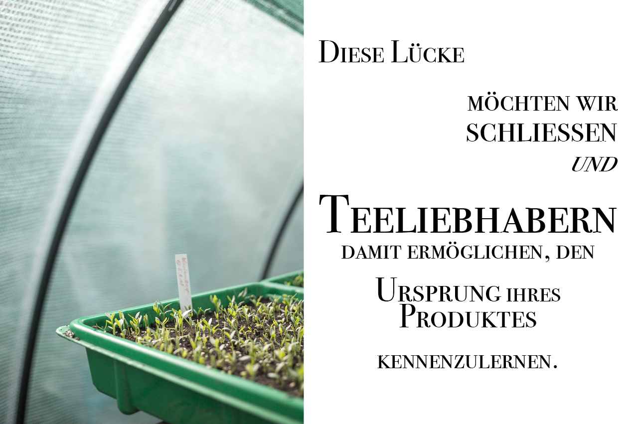 Layout_Schönfeld die Teegärtner_2