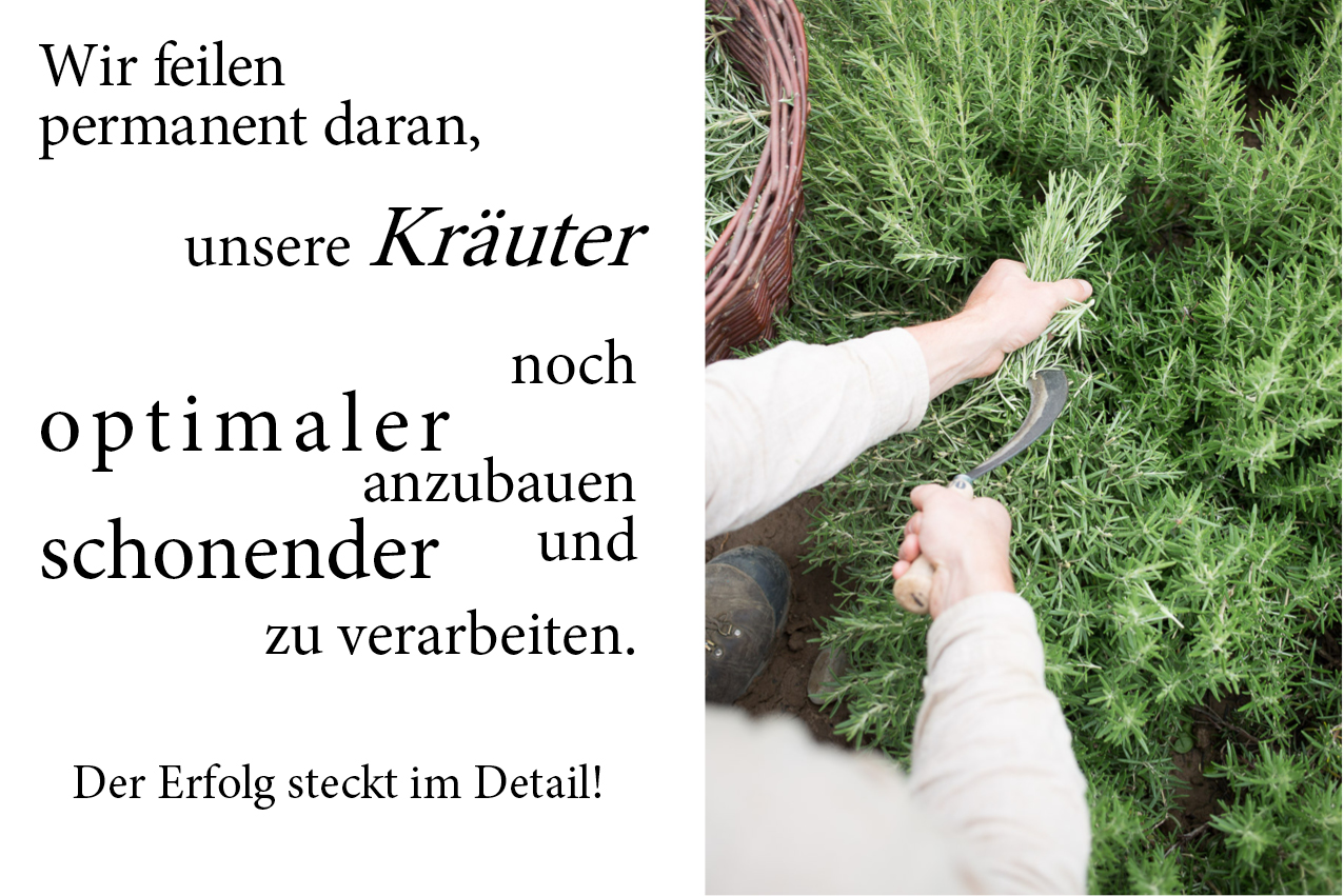 Layout_Schönfeld die Teegärtner_5