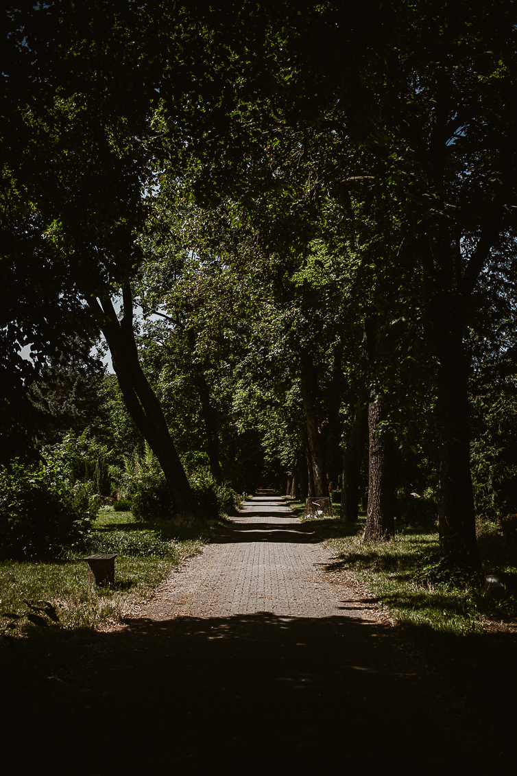 Prinzessinnengarten Kollektiv Berlin