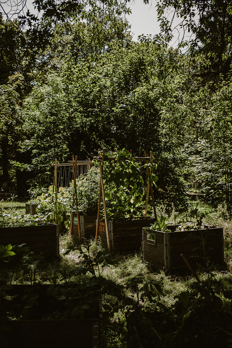 Prinzessinnengarten Kollektiv Berlin