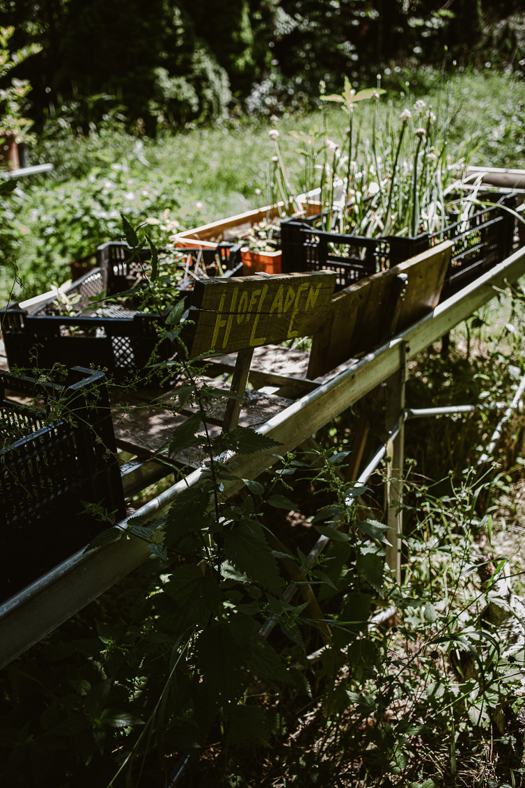 Prinzessinnengarten Kollektiv Berlin