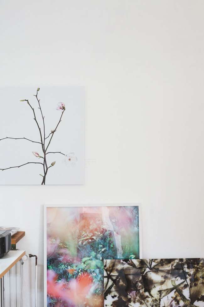 anka-manshusen-concept-fotografie-blumen-abstrak