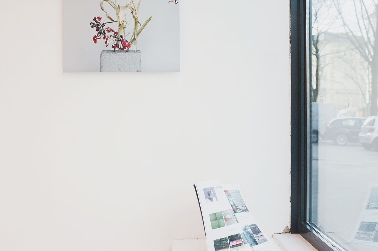anka-manshusen-concept-fotografie-blumen-schaufenster