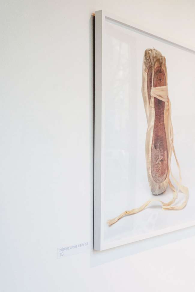anka-manshusen-concept-fotografie-grossformatig-balettschuh