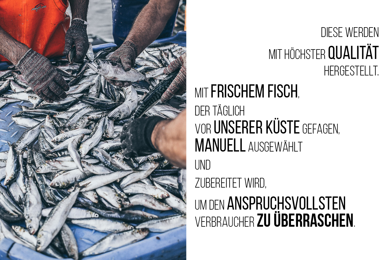 auswahl_miss_can_4