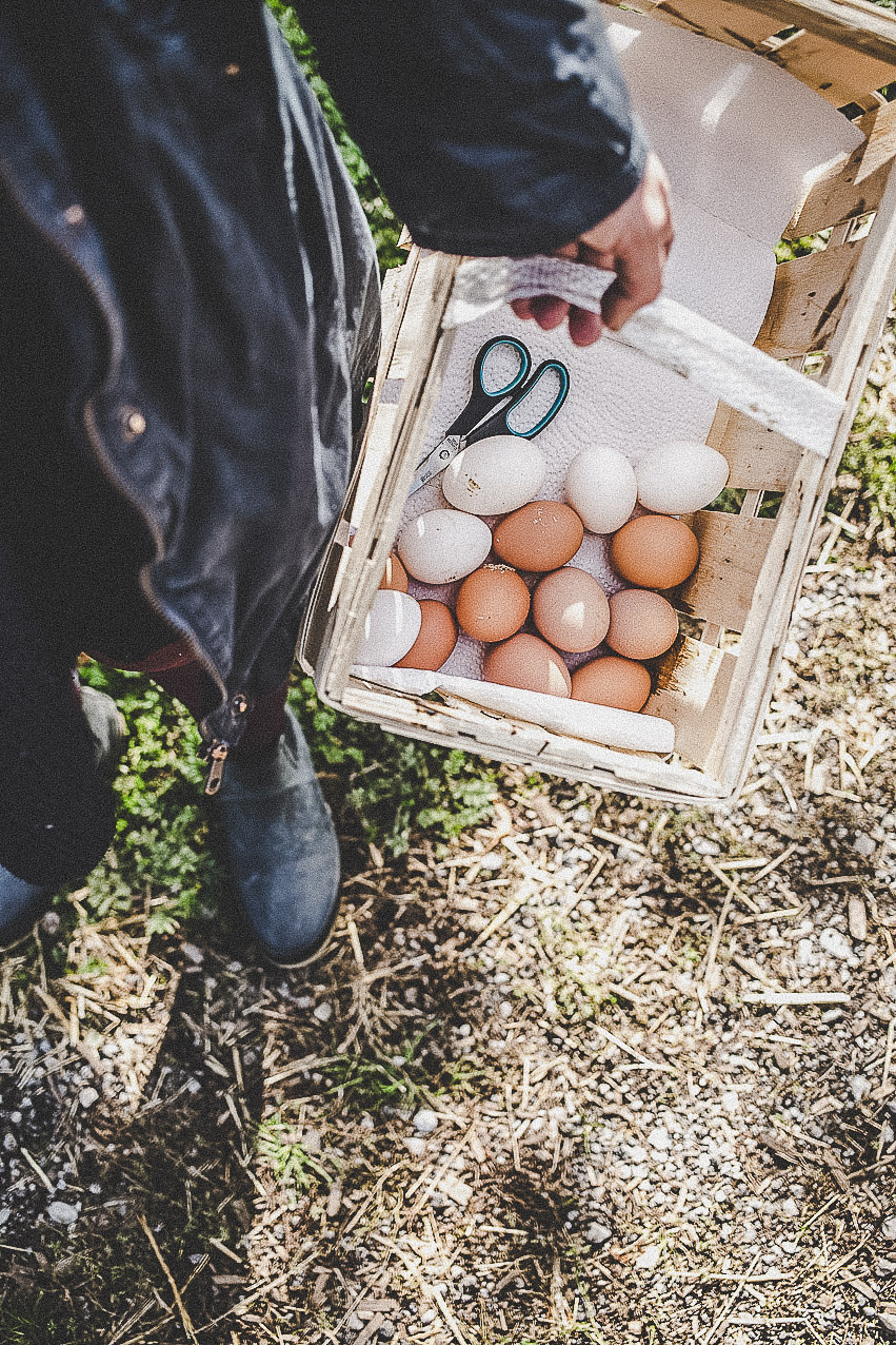 farmmade_utagleiser_photography-eier-korb