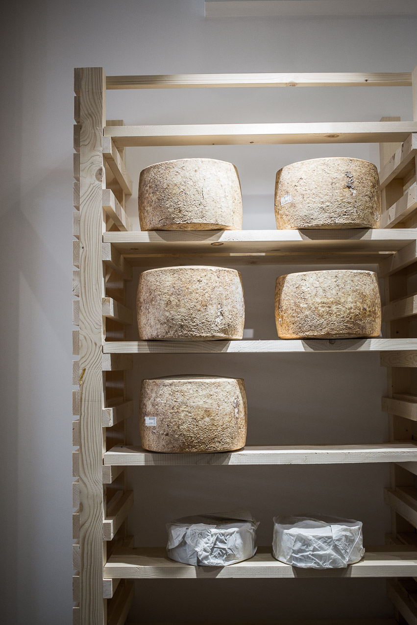 hamburgstories-porto-kaese-regal