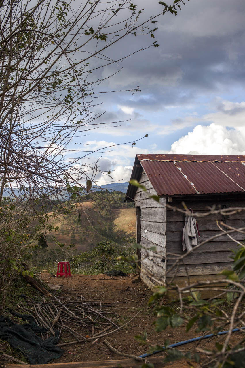 langbiang-coffee-village-vietnam-utagleiser-photography-huette-plantage