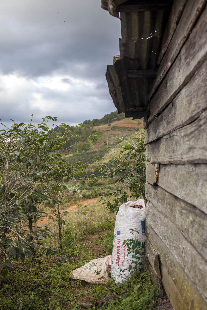 langbiang-coffee-village-vietnam-utagleiser-photography-huette