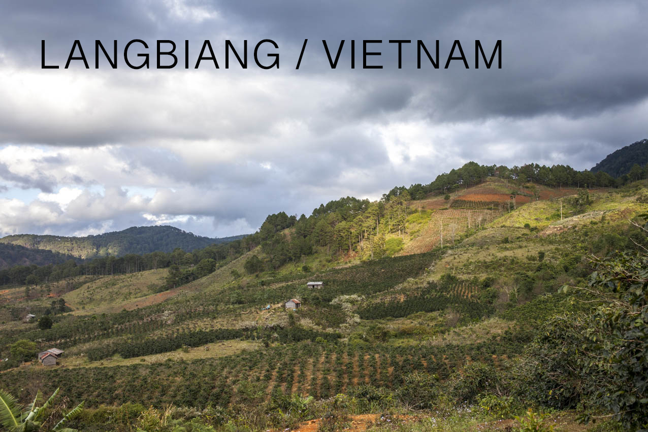 langbiang-vietnam-utagleiser-photography-plantage