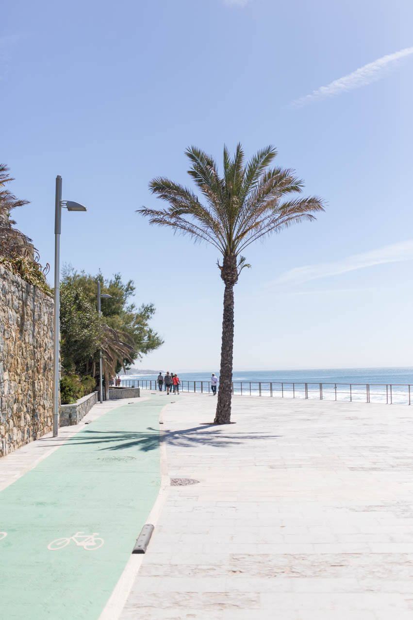 lissabon-hamburgstories-palme-meer