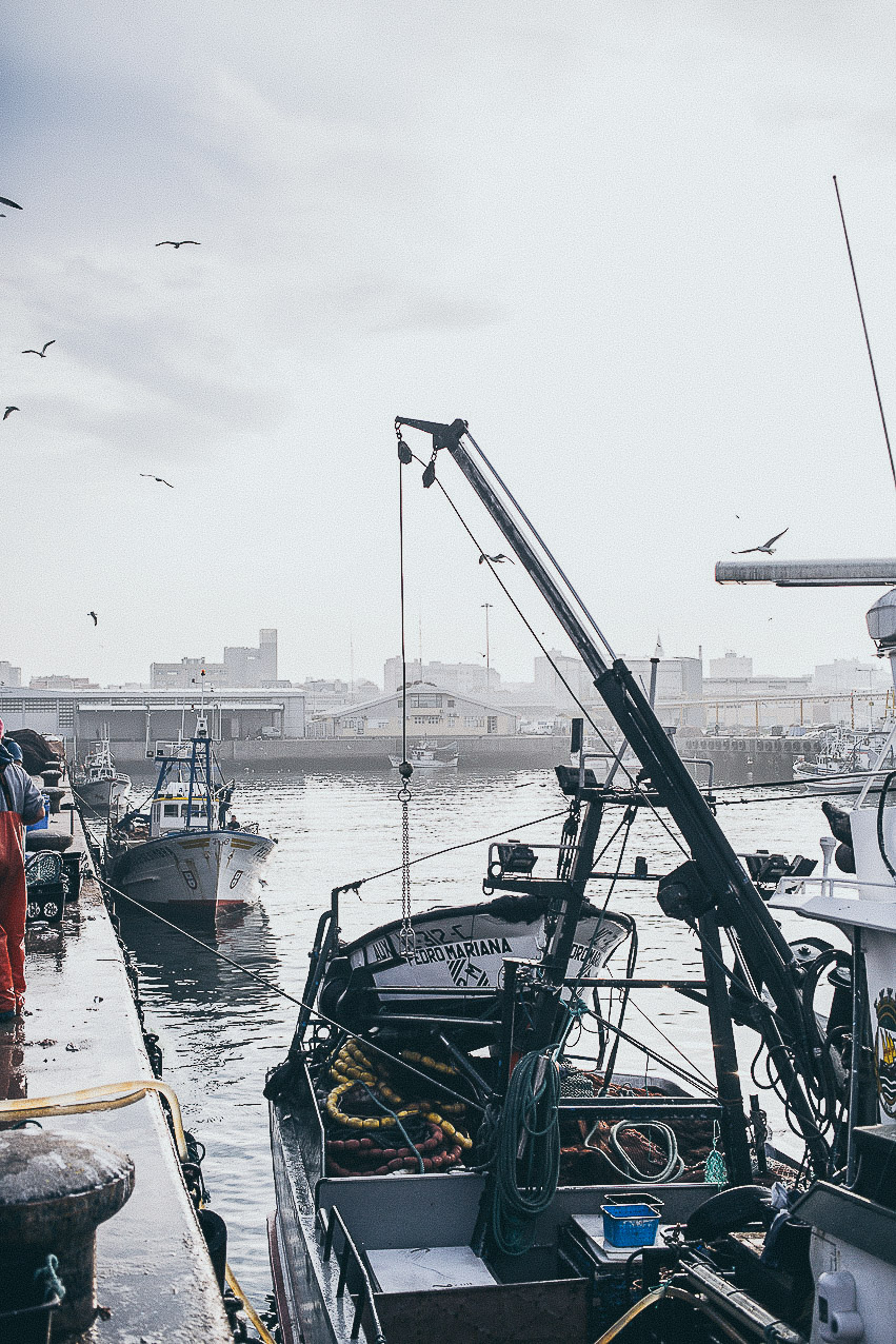 miss_can_utagleiser-photography_boote