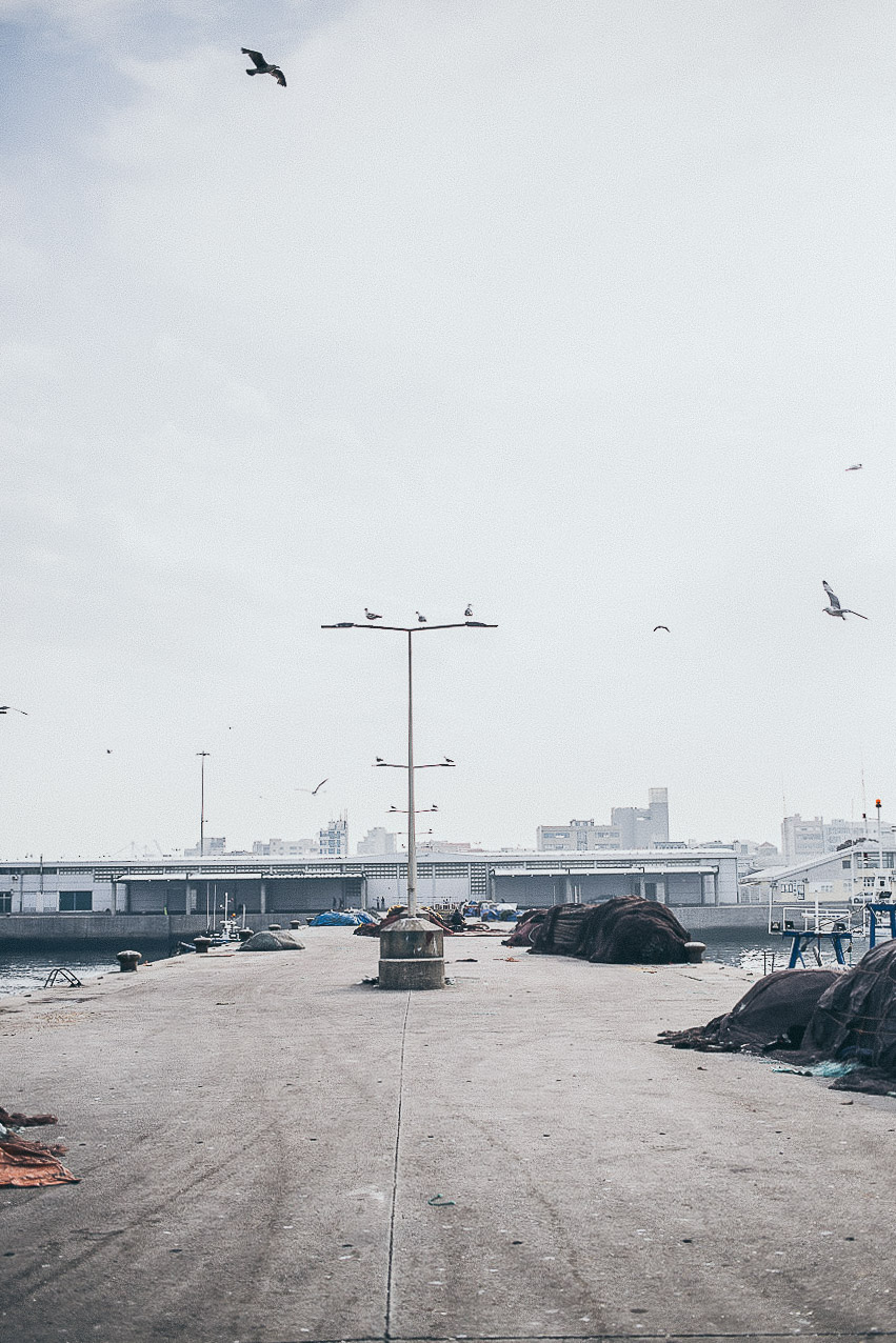 miss_can_utagleiser-photography_hafen