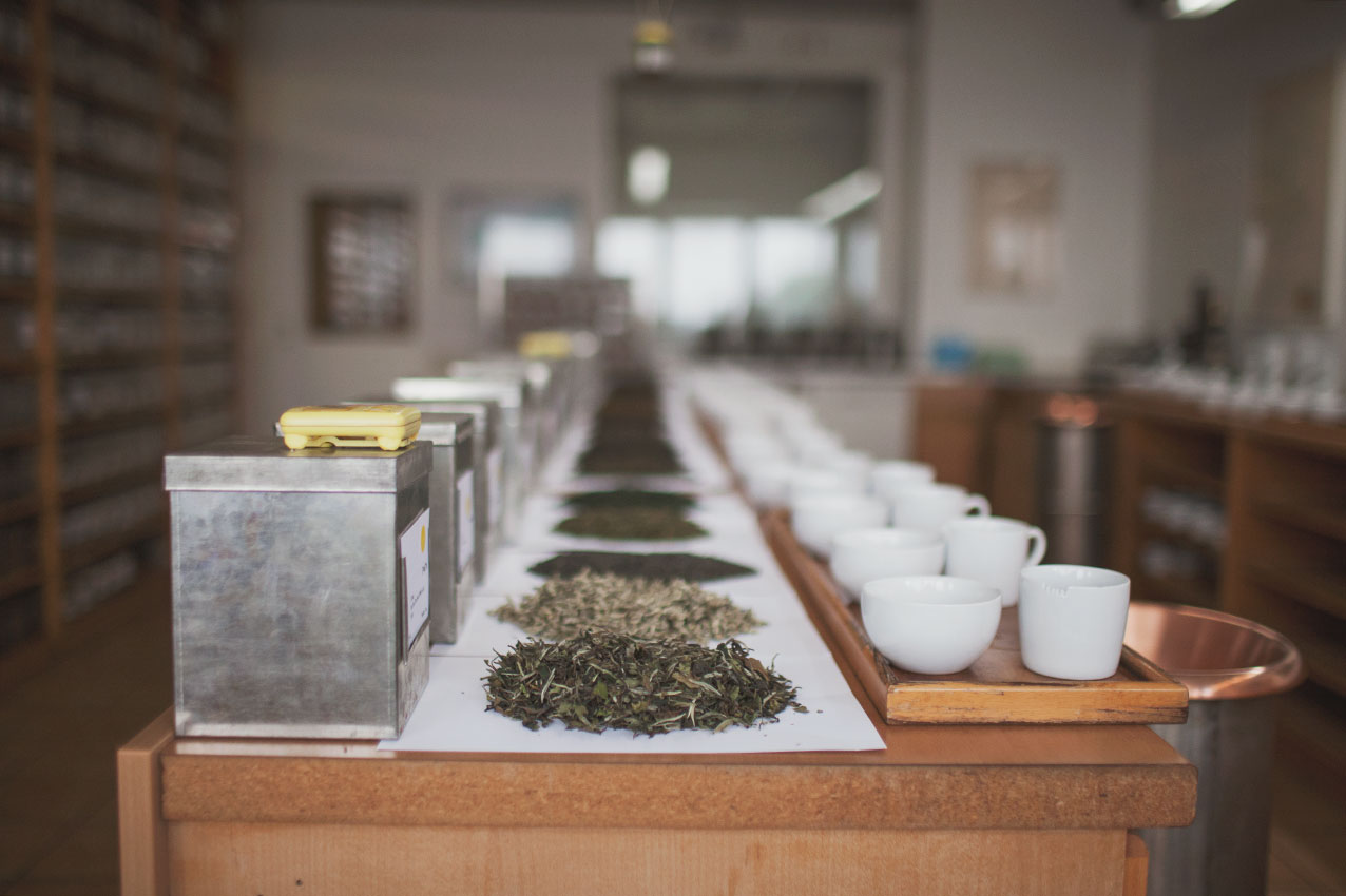 my-t-bar-mount-everest-tea-company-teefachhandel-dosen-raum-probe