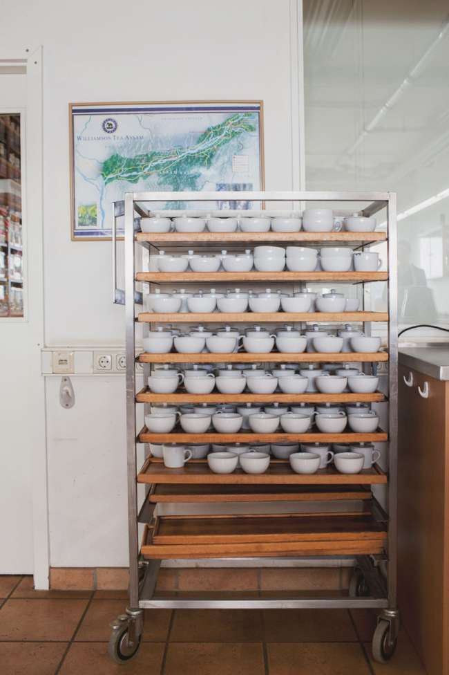 my-t-bar-mount-everest-tea-company-teefachhandel-tassen