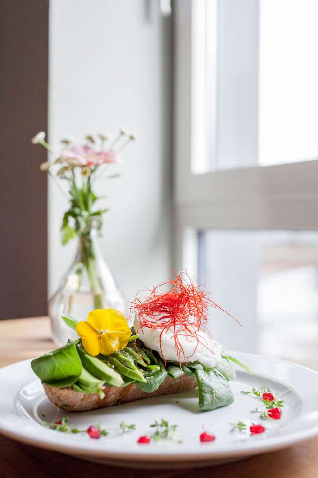 nord-coast-coffee-roastery-avocadobrot-blume