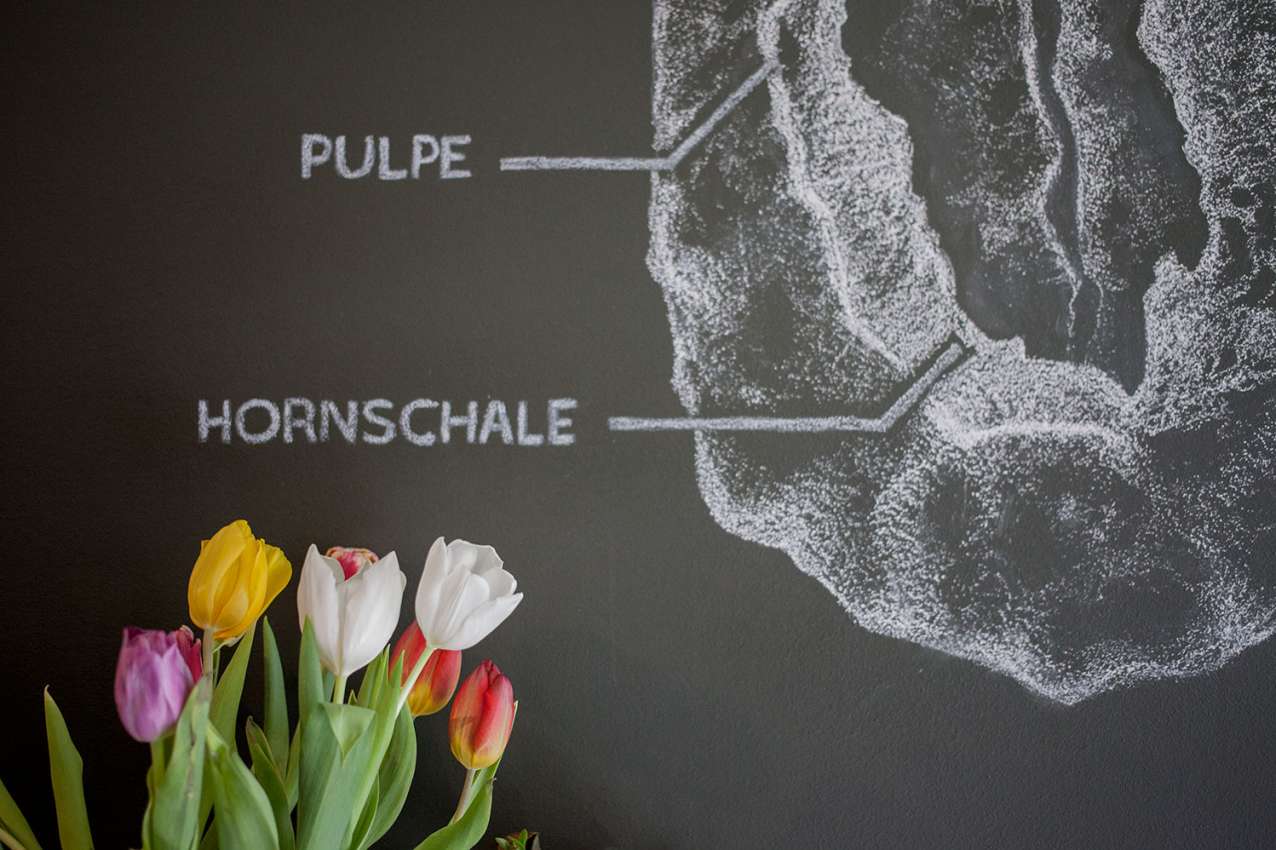 nord-coast-coffee-roastery-tulpen-pulpe