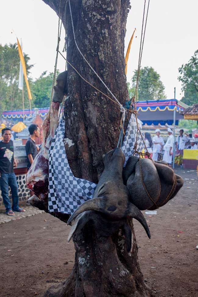 pura-lingsar-lombok-opfergaben-ritual