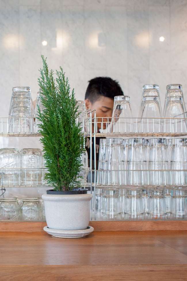 the-commons-bangkok-baum-tresen