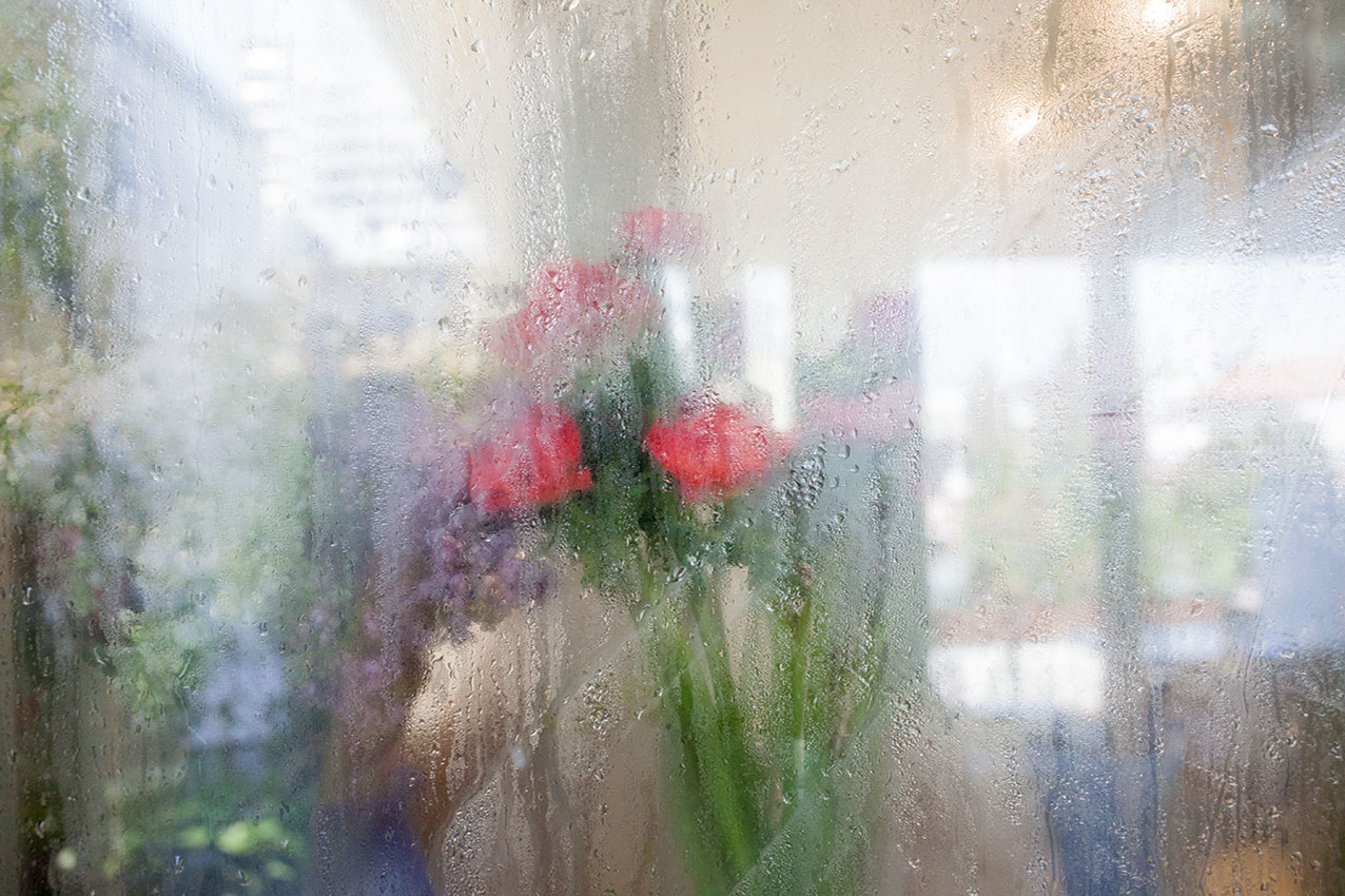 the-commons-bangkok-blumen-fenster