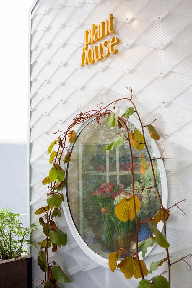 the-commons-bangkok-fenster-pflanzen