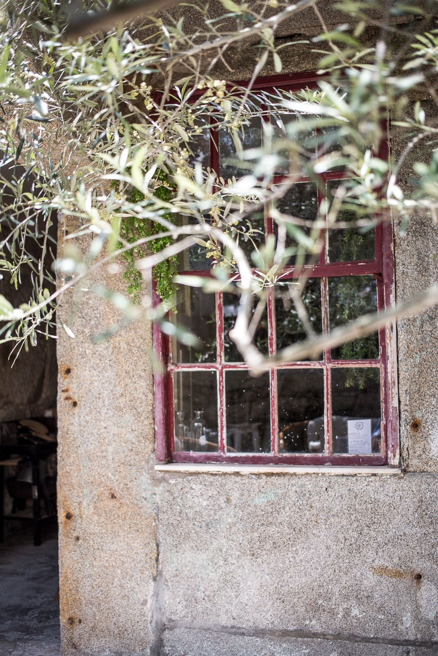 the-happy-nest-porto-hamburgstories-einblick