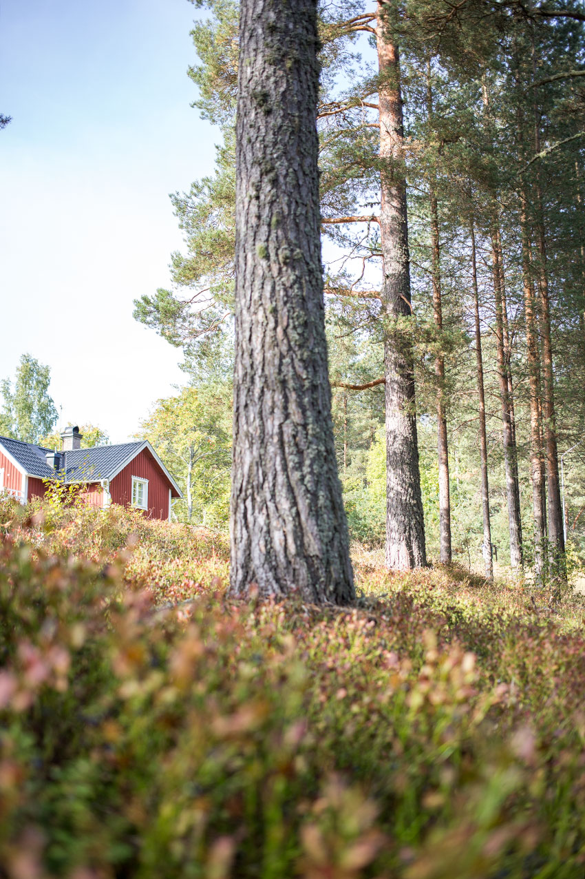vaexbo-lin-manufaktur-schweden-haus-heidelbeeren