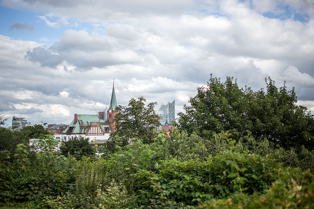 waterkant-touren-stadttouren-hamburg-locals-st-petri